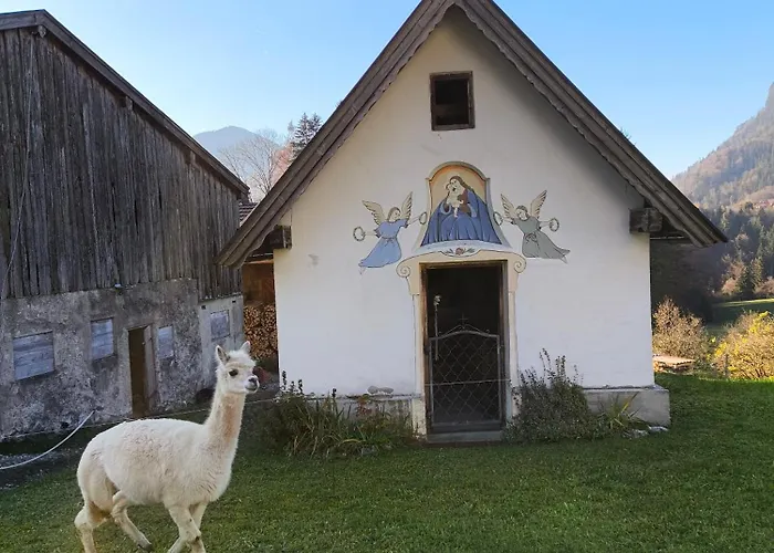 Paulnhof Erl - Alpenglueck Fuer Gruppen, Freunde & Teams * Erlerberg