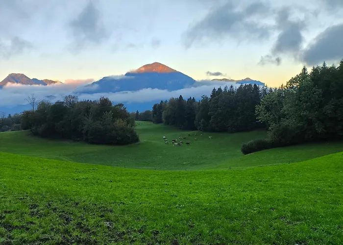 Paulnhof Erl - Alpenglueck Fuer Gruppen, Freunde & Teams Erlerberg