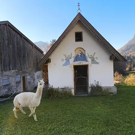 Paulnhof Erl - Alpenglueck Fuer Gruppen, Freunde & Teams * Erlerberg