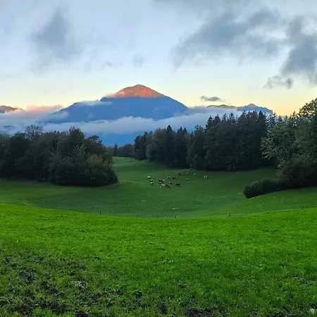 Paulnhof Erl - Alpenglueck Fuer Gruppen, Freunde & Teams Erlerberg